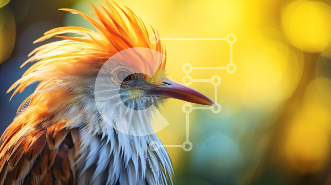 Σετ των 2 Intra Συλλεκτικό Ξύλινο Παζλ Plywood  4mm - Κοντινό πλάνο ενός πορτοκαλί-λευκού πουλιού Σε Ξύλινο Κουτί - Διαστάσεις: 10x10 cm – 25 κομμάτια