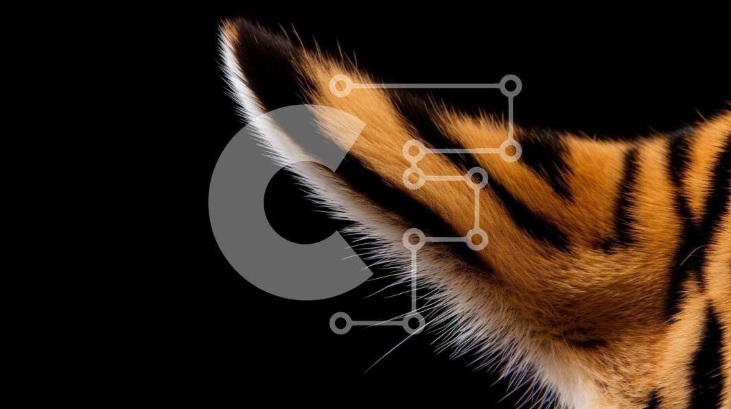 Σετ των 2 Intra Συλλεκτικό Ξύλινο Παζλ Plywood  4mm - Κοντινό πλάνο του αυτιού μιας τίγρης σε μαύρο και άσπρο Σε Ξύλινο Κουτί - Διαστάσεις: 10x10 cm – 25 κομμάτια