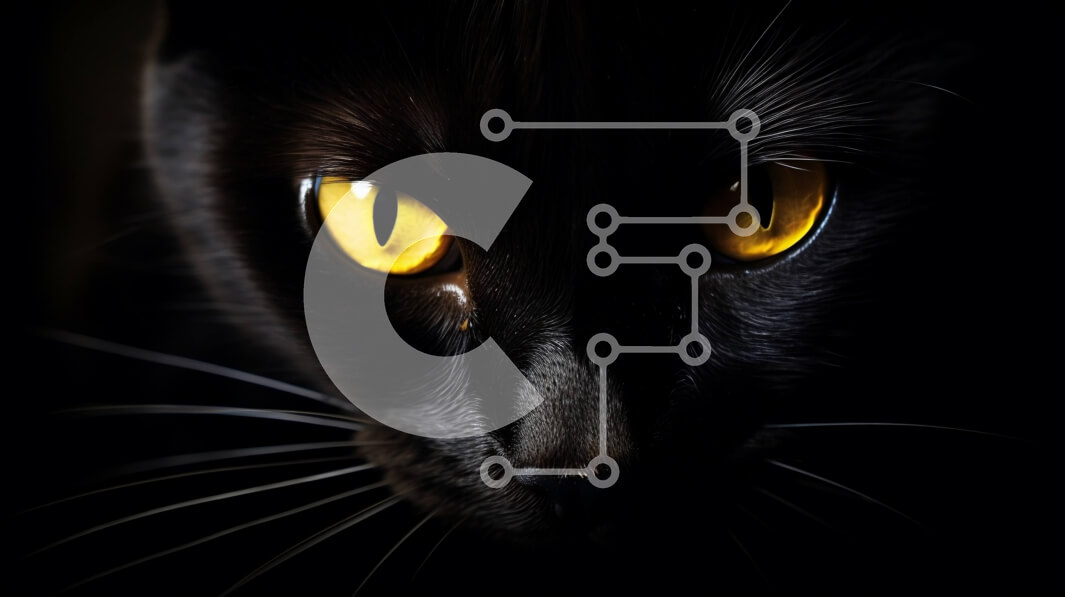 Intra Συλλεκτικό Ξύλινο Παζλ Plywood  4mm - Μαύρη γάτα με κίτρινα μάτια κοιτάζοντας την κάμερα Σε Ξύλινο Κουτί - Διαστάσεις: 10x10 cm – 25 κομμάτια