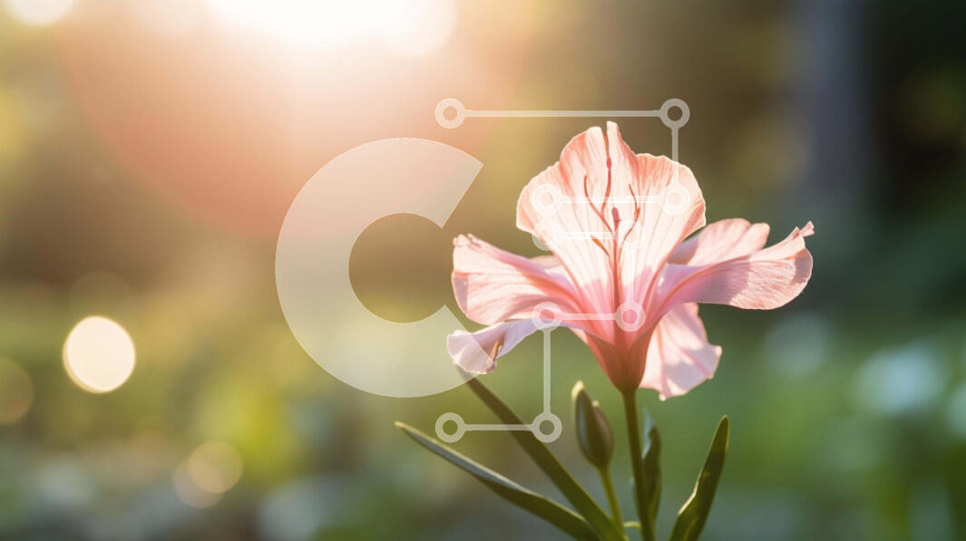 Intra Συλλεκτικό Ξύλινο Παζλ Plywood  4mm - Μονό ροζ λουλούδι σε πράσινο γρασίδι με φως του ήλιου Σε Ξύλινο Κουτί - Διαστάσεις: 10x10 cm – 25 κομμάτια