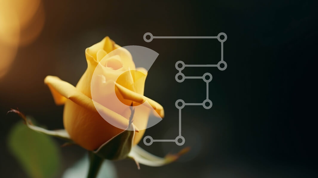 Intra Συλλεκτικό Ξύλινο Παζλ Plywood  4mm - Ενιαίο κίτρινο τριαντάφυλλο που ανθίζει σε πράσινα φύλλα Σε Ξύλινο Κουτί - Διαστάσεις: 10x10 cm – 25 κομμάτια