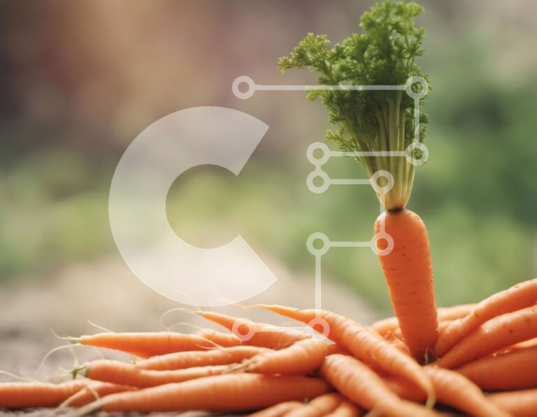 Σετ των 2 Intra Συλλεκτικό Ξύλινο Παζλ Plywood  4mm - Σωρός από καρότα με καρότο που φυτρώνει Σε Ξύλινο Κουτί - Διαστάσεις: 10x10 cm – 25 κομμάτια