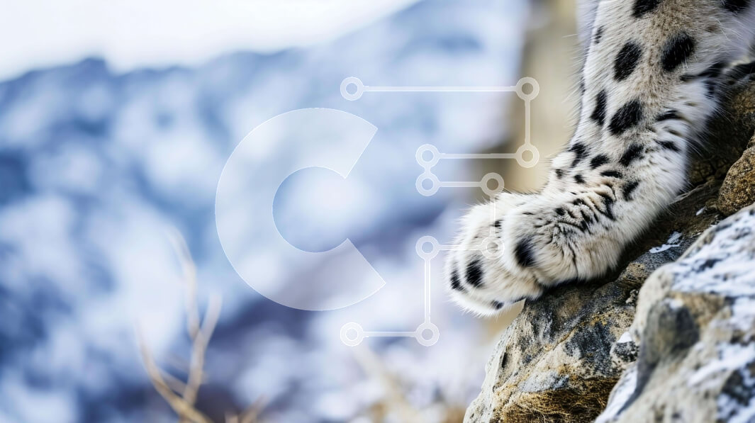 Intra Συλλεκτικό Ξύλινο Παζλ Plywood  4mm - Το Snow Leopard's Paw στο Icy Rock Σε Ξύλινο Κουτί - Διαστάσεις: 10x10 cm – 25 κομμάτια