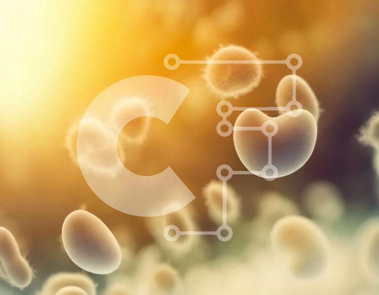 Intra Συλλεκτικό Ξύλινο Παζλ Plywood  4mm - Ομάδα λευκών αιμοσφαιρίων που επιπλέουν στον αέρα Σε Ξύλινο Κουτί - Διαστάσεις Puzzle: 10x10 cm – 25 κομμάτια