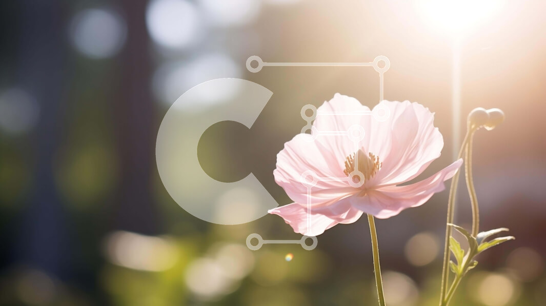 Intra Συλλεκτικό Ξύλινο Παζλ Plywood  4mm - Φωτεινό ροζ λουλούδι σε φυσικό περιβάλλον με φως του ήλιου Σε Ξύλινο Κουτί - Διαστάσεις: 10x10 cm – 25 κομμάτια