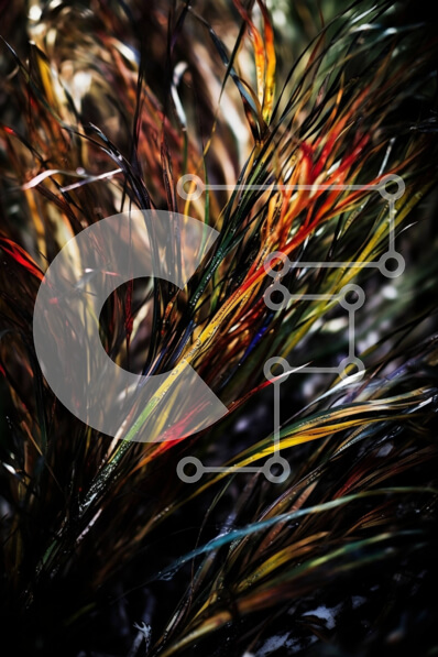 Σετ των 2 Intra Συλλεκτικό Ξύλινο Παζλ Plywood  4mm - Δονούμενη κοντινή εικόνα του κύκλου φτερών Σε Ξύλινο Κουτί - Διαστάσεις: 10x10 cm – 25 κομμάτια