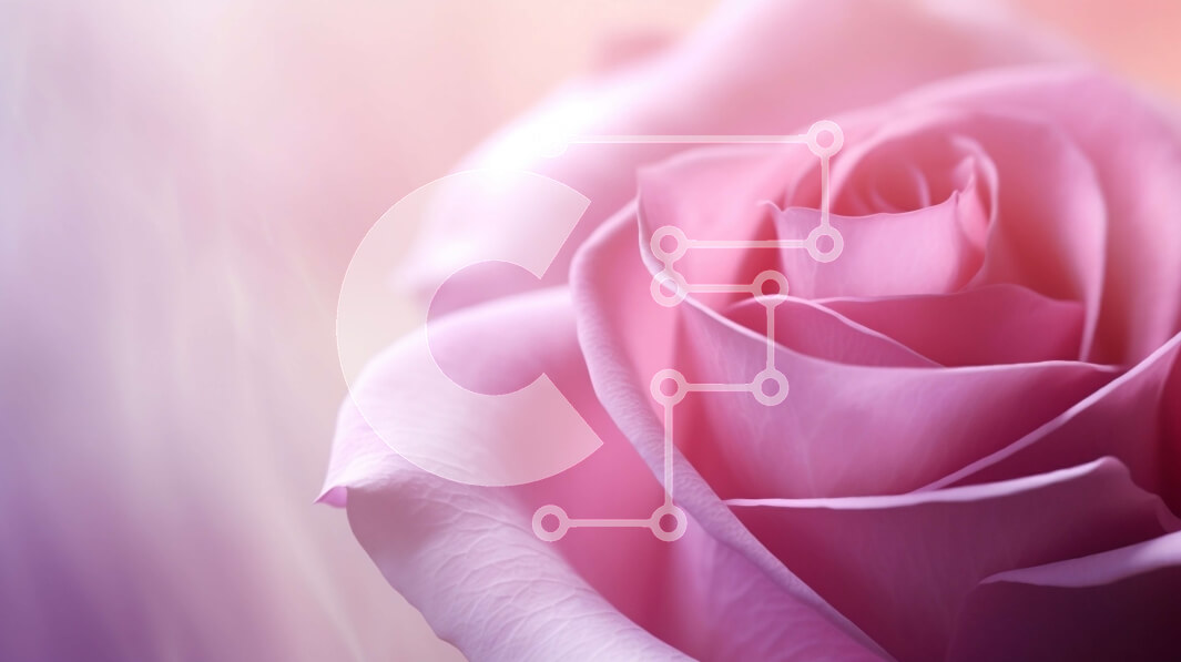 Intra Συλλεκτικό Ξύλινο Παζλ Plywood  4mm - Ροζ τριαντάφυλλο με θολό φόντο Σε Ξύλινο Κουτί - Διαστάσεις: 10x10 cm – 25 κομμάτια