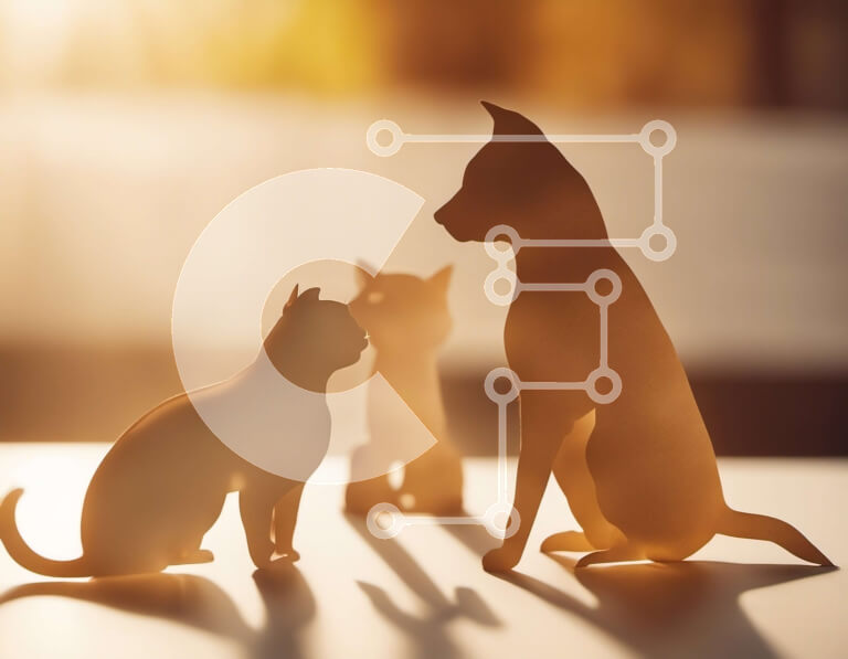 Σετ των 2 Intra Συλλεκτικό Ξύλινο Παζλ Plywood  4mm - Ομάδα σκύλων και γάτας που στέκονται μαζί σε μια ξύλινη επιφάνεια Σε Ξύλινο Κουτί - Διαστάσεις: 10x10 cm – 25 κομμάτια