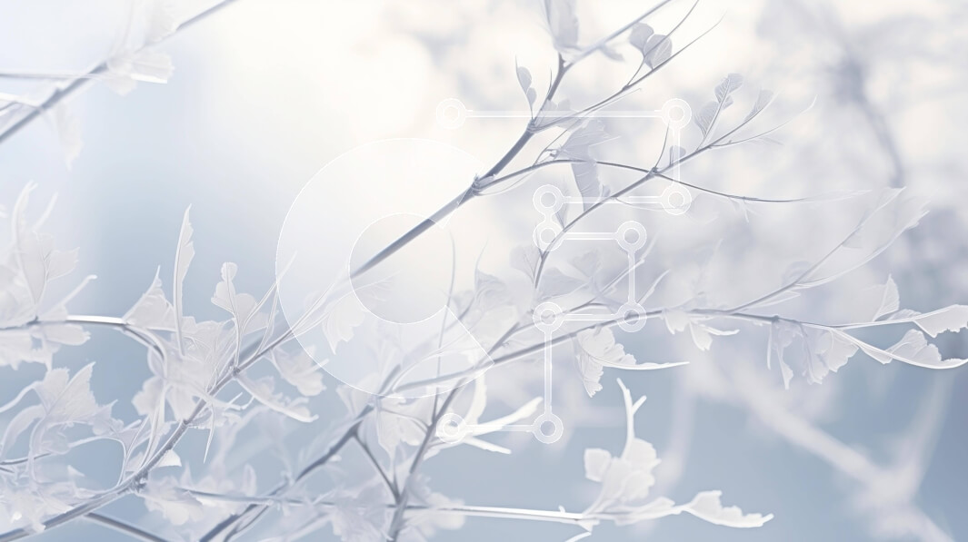 Intra Συλλεκτικό Ξύλινο Παζλ Plywood  4mm - Παγωμένο κλαδί δέντρου με πουλιά και αεροπλάνο στο φόντο Σε Ξύλινο Κουτί - Διαστάσεις: 10x10 cm – 25 κομμάτια