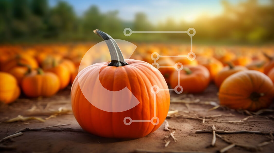 Intra Συλλεκτικό Ξύλινο Παζλ Plywood  4mm - Μεγάλη πορτοκαλί κολοκύθα σε χωράφι με διάσπαρτες κολοκύθες Σε Ξύλινο Κουτί - Διαστάσεις: 10x10 cm – 25 κομμάτια