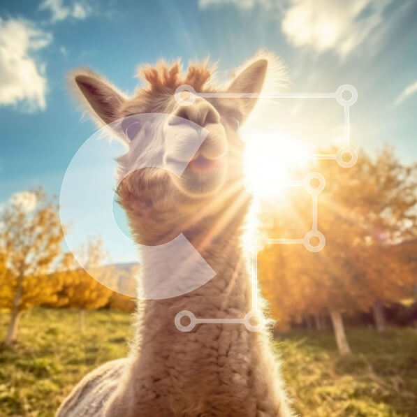 Intra Συλλεκτικό Ξύλινο Παζλ Plywood  4mm - Αξιολάτρευτο χαμογελαστό λάμα σε ένα όμορφο φθινοπωρινό χωράφι Σε Ξύλινο Κουτί - Διαστάσεις: 10x10 cm – 25 κομμάτια