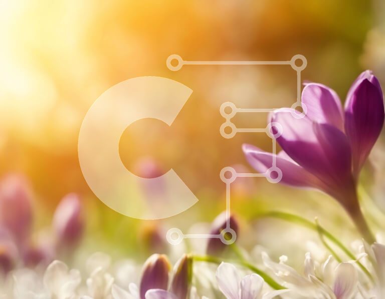 Intra Συλλεκτικό Ξύλινο Παζλ Plywood  4mm - Πεδίο με μωβ κρόκους με ήλιο που λάμπει Σε Ξύλινο Κουτί - Διαστάσεις: 10x10 cm – 25 κομμάτια