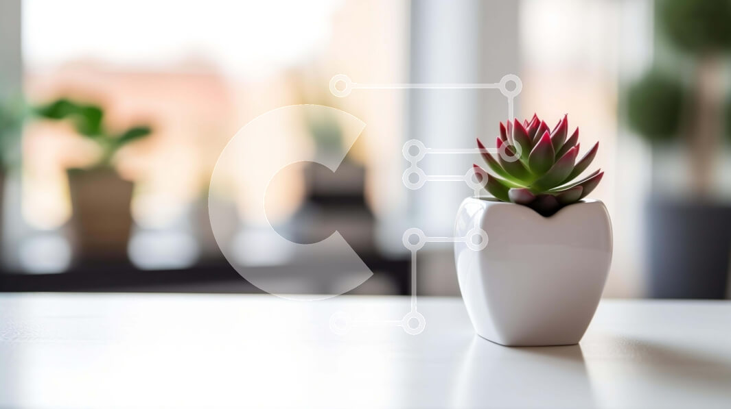 Intra Συλλεκτικό Ξύλινο Παζλ Plywood  4mm - Διακοσμητικό φυτό σε γλάστρα στο τραπέζι κοντά στο παράθυρο Σε Ξύλινο Κουτί - Διαστάσεις Puzzle: 10x10 cm – 25 κομμάτια