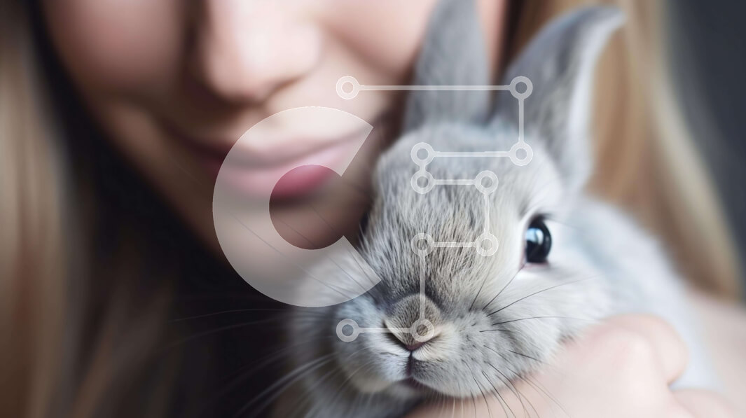 Σετ των 2 Intra Συλλεκτικό Ξύλινο Παζλ Plywood  4mm - Νεαρή γυναίκα που κρατά ένα χαριτωμένο γκρίζο λαγουδάκι Σε Ξύλινο Κουτί - Διαστάσεις: 10x10 cm – 25 κομμάτια