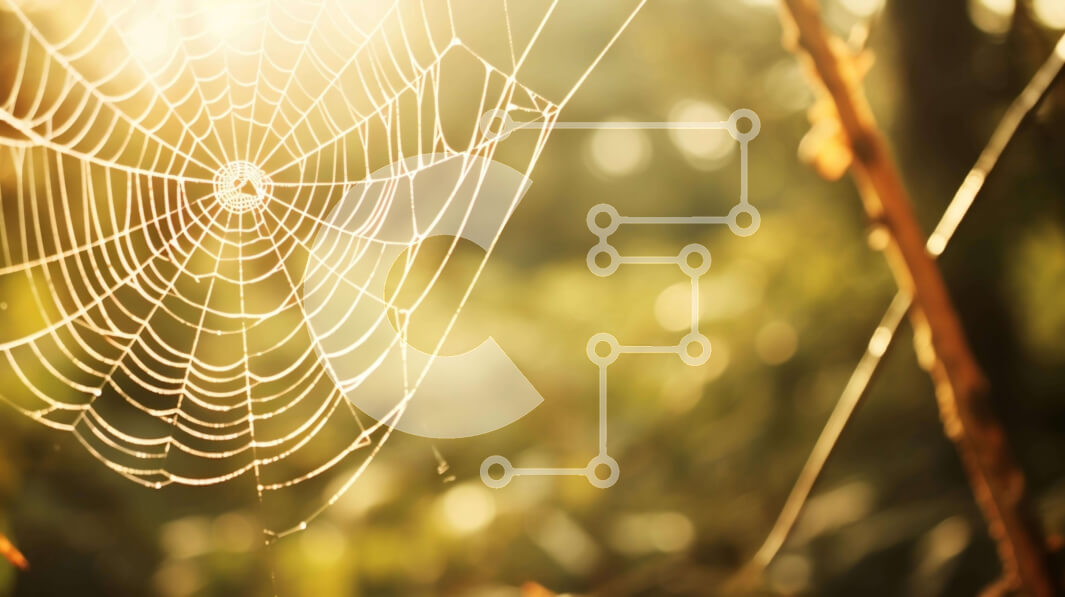 Intra Συλλεκτικό Ξύλινο Παζλ Plywood  4mm - Ιστός αράχνης στο δάσος με δέντρα και φύλλωμα Σε Ξύλινο Κουτί - Διαστάσεις: 10x10 cm – 25 κομμάτια