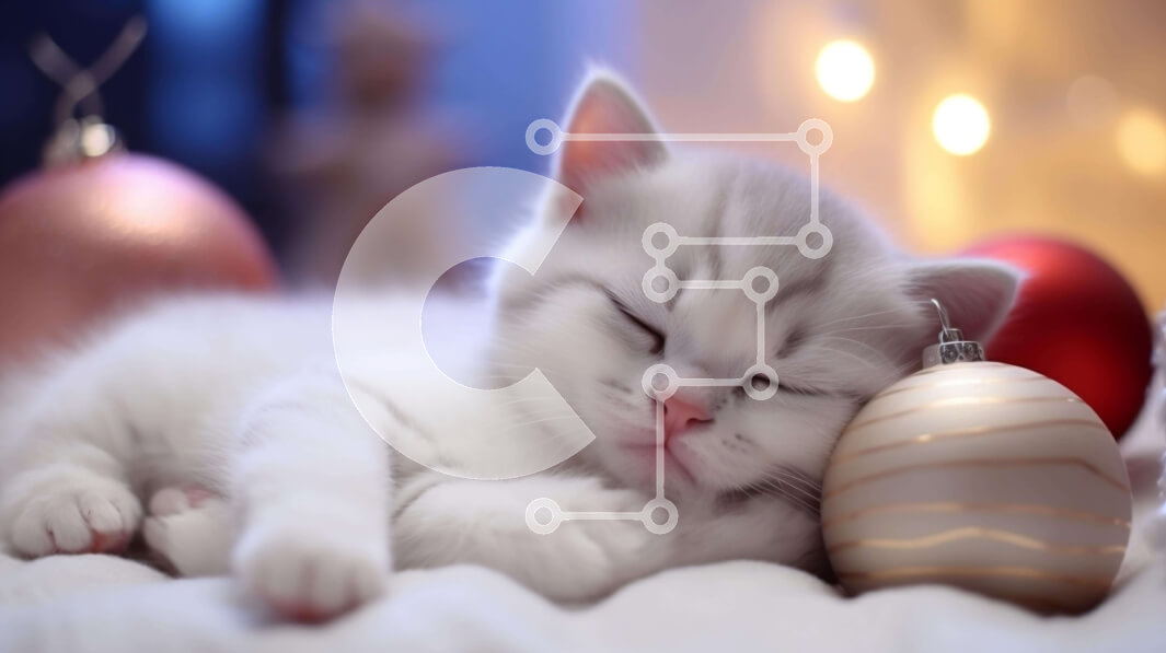 Intra Συλλεκτικό Ξύλινο Παζλ Plywood  4mm - Χαριτωμένο λευκό γατάκι που κοιμάται στο στολίδι Σε Ξύλινο Κουτί - Διαστάσεις: 10x10 cm – 25 κομμάτια