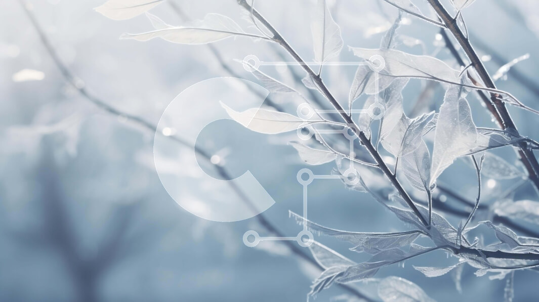 Intra Συλλεκτικό Ξύλινο Παζλ Plywood  4mm - Παγωμένο κλαδί δέντρου με παγάκια και νιφάδες χιονιού Σε Ξύλινο Κουτί - Διαστάσεις: 10x10 cm – 25 κομμάτια