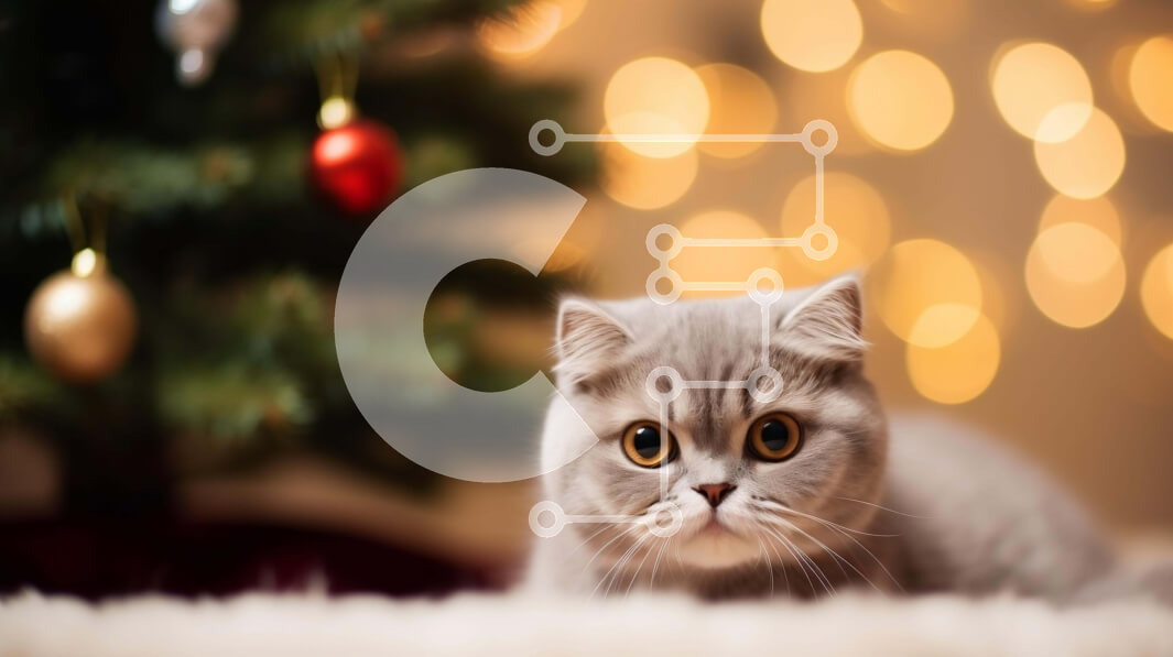 Σετ των 2 Intra Συλλεκτικό Ξύλινο Παζλ Plywood  4mm - Περίεργη γάτα και χριστουγεννιάτικο δέντρο Σε Ξύλινο Κουτί - Διαστάσεις: 10x10 cm – 25 κομμάτια