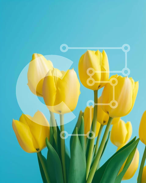 Intra Συλλεκτικό Ξύλινο Παζλ Plywood  4mm - Κίτρινες τουλίπες σε βάζο με μπλε φόντο Σε Ξύλινο Κουτί - Διαστάσεις: 10x10 cm – 25 κομμάτια