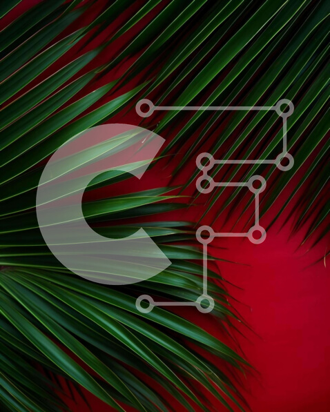 Intra Συλλεκτικό Ξύλινο Παζλ Plywood  4mm - Κοντινό πλάνο από πράσινα φύλλα φοίνικα σε κόκκινο φόντο Σε Ξύλινο Κουτί - Διαστάσεις: 10x10 cm – 25 κομμάτια