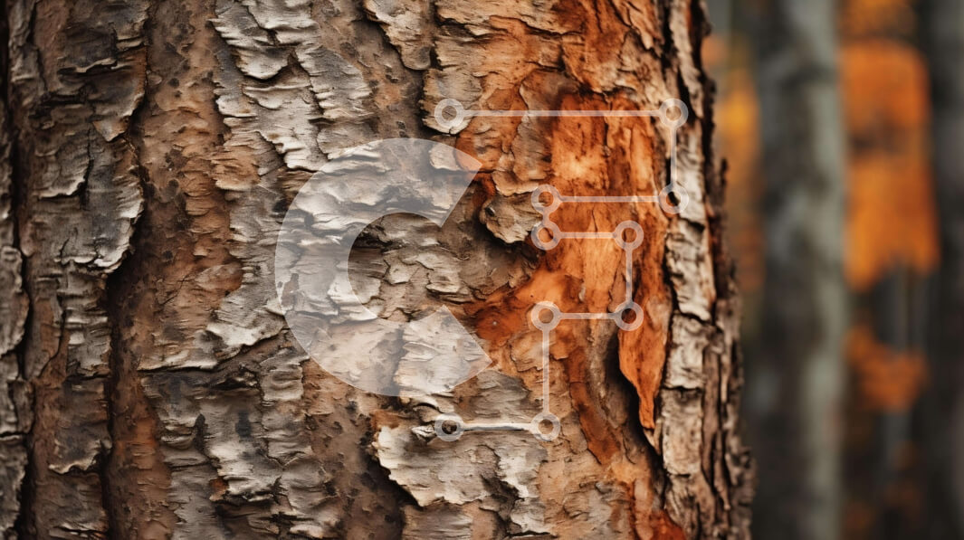 Intra Συλλεκτικό Ξύλινο Παζλ Plywood  4mm - Κινηματογράφηση σε πρώτο πλάνο γερασμένου και ξεπερασμένου φλοιού κορμού δέντρων Σε Ξύλινο Κουτί - Διαστάσεις: 10x10 cm – 25 κομμάτια