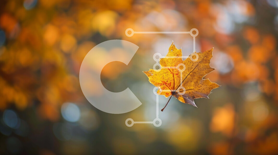 Intra Συλλεκτικό Ξύλινο Παζλ Plywood  4mm - Σόλο κίτρινο φύλλο που επιπλέει στον αέρα Σε Ξύλινο Κουτί - Διαστάσεις: 10x10 cm – 25 κομμάτια