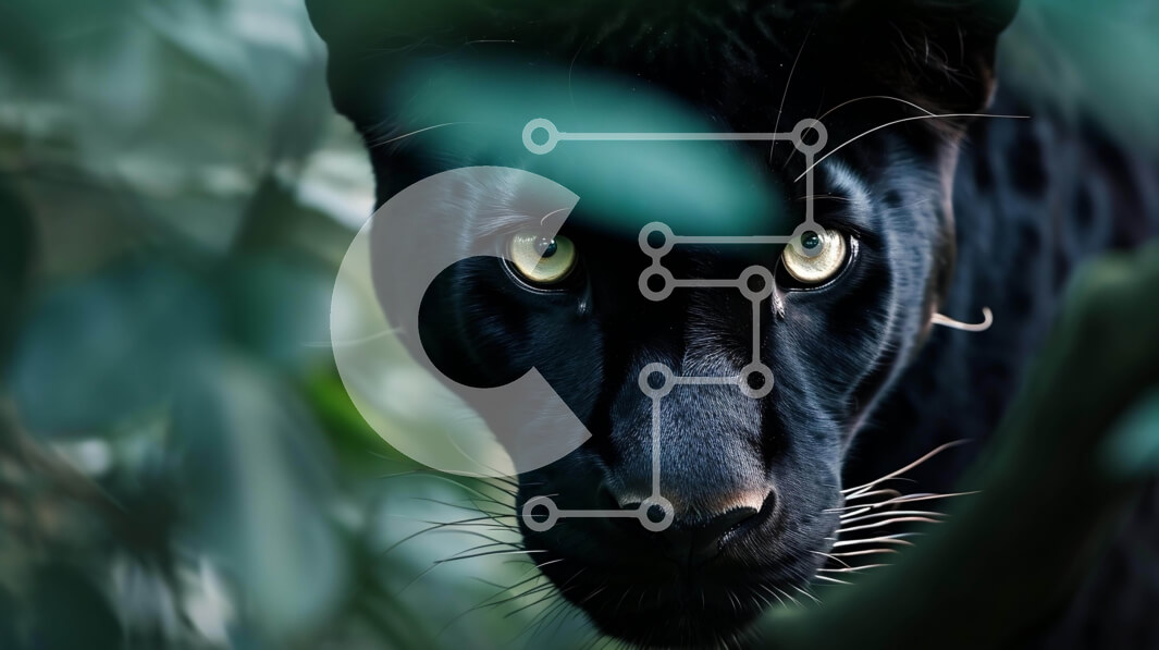 Intra Συλλεκτικό Ξύλινο Παζλ Plywood  4mm - Κοντινό πλάνο ενός μαύρου πάνθηρα που κρυφοκοιτάζει μέσα από φύλλα Σε Ξύλινο Κουτί - Διαστάσεις: 10x10 cm – 25 κομμάτια