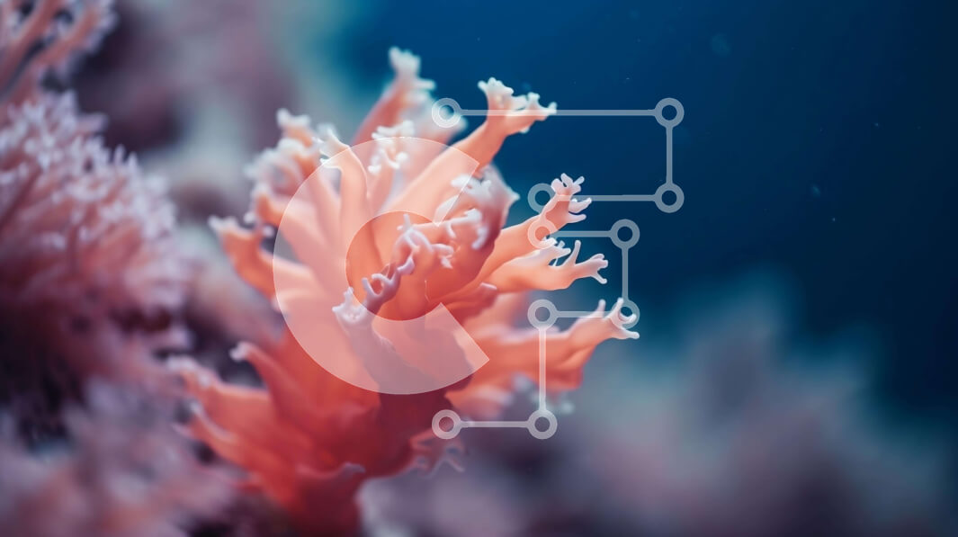 Intra Συλλεκτικό Ξύλινο Παζλ Plywood  4mm - Κοντινό πλάνο μιας ροζ θαλάσσιας ανεμώνης Σε Ξύλινο Κουτί - Διαστάσεις: 10x10 cm – 25 κομμάτια