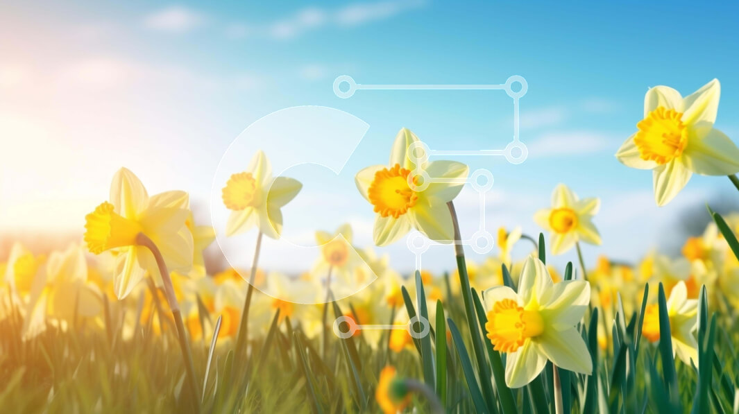 Intra Συλλεκτικό Ξύλινο Παζλ Plywood  4mm - Πεδίο με κίτρινους νάρκισσους σε πλήρη άνθιση Σε Ξύλινο Κουτί - Διαστάσεις: 10x10 cm – 25 κομμάτια