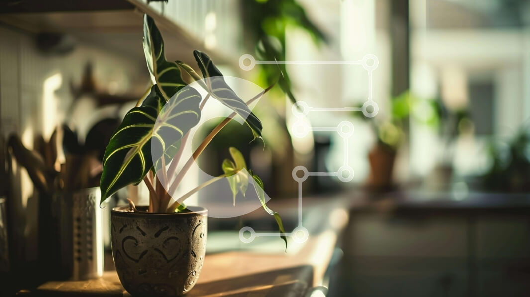 Intra Συλλεκτικό Ξύλινο Παζλ Plywood  4mm - Φυτό σε γλάστρα στον πάγκο της κουζίνας μπροστά από το παράθυρο Σε Ξύλινο Κουτί - Διαστάσεις Puzzle: 10x10 cm – 25 κομμάτια