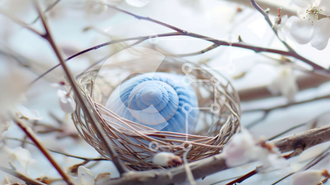 Intra Συλλεκτικό Ξύλινο Παζλ Plywood  4mm - Μπλε κοχύλι σε βελανιδιά με λευκά άνθη Σε Ξύλινο Κουτί - Διαστάσεις: 10x10 cm – 25 κομμάτια