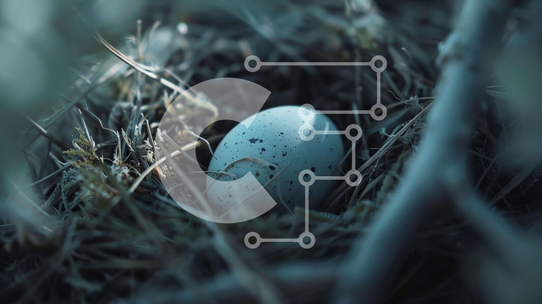 Intra Συλλεκτικό Ξύλινο Παζλ Plywood  4mm - Φωλιά πουλιού με λευκό αυγό Σε Ξύλινο Κουτί - Διαστάσεις: 10x10 cm – 25 κομμάτια