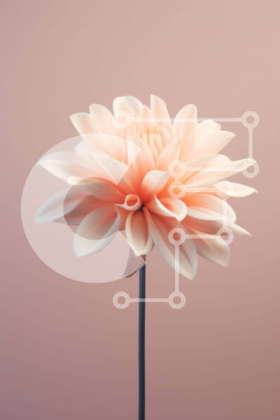 Σετ των 2 Intra Συλλεκτικό Ξύλινο Παζλ Plywood  4mm - Ροζ λουλούδι σε υπόλευκο φόντο Σε Ξύλινο Κουτί - Διαστάσεις: 10x10 cm – 25 κομμάτια