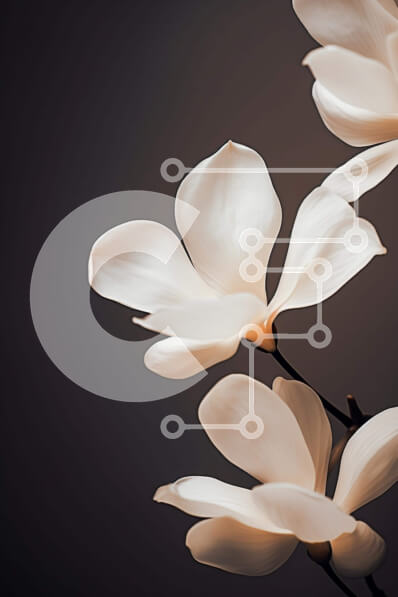 Σετ των 2 Intra Συλλεκτικό Ξύλινο Παζλ Plywood  4mm - Τρία ανθισμένα λουλούδια μανόλια σε σκούρο φόντο Σε Ξύλινο Κουτί - Διαστάσεις: 10x10 cm – 25 κομμάτια