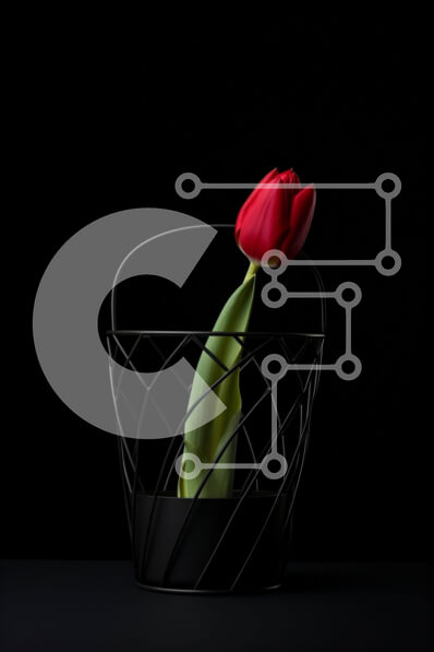 Σετ των 2 Intra Συλλεκτικό Ξύλινο Παζλ Plywood  4mm - Κόκκινο λουλούδι τουλίπας σε μαύρο συρμάτινο καλάθι Σε Ξύλινο Κουτί - Διαστάσεις: 10x10 cm – 25 κομμάτια