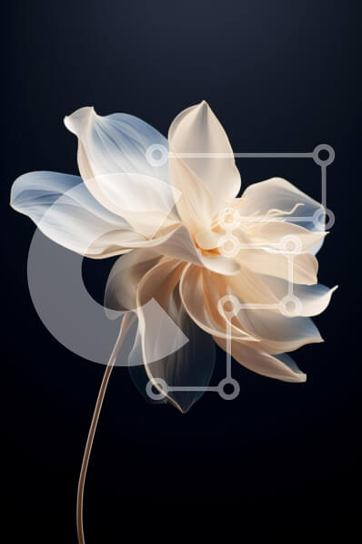 Σετ των 2 Intra Συλλεκτικό Ξύλινο Παζλ Plywood  4mm - Λευκό λουλούδι σε μαύρο φόντο Σε Ξύλινο Κουτί - Διαστάσεις: 10x10 cm – 25 κομμάτια