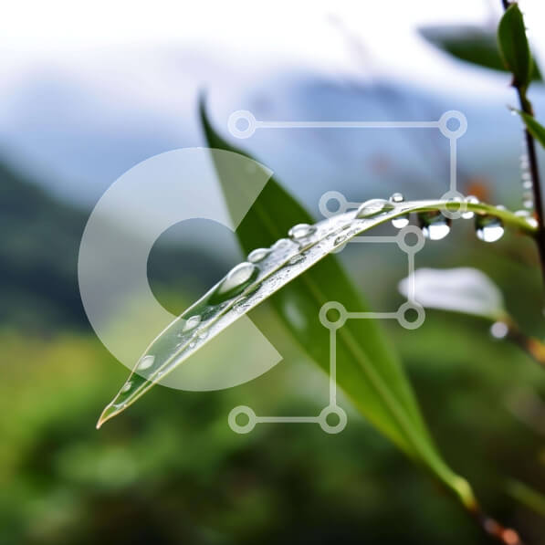 Intra Συλλεκτικό Ξύλινο Παζλ Plywood  4mm - Κοντινό πλάνο μιας σταγόνας νερού σε ένα φύλλο με φόντο το βουνό Σε Ξύλινο Κουτί - Διαστάσεις: 10x10 cm – 25 κομμάτια