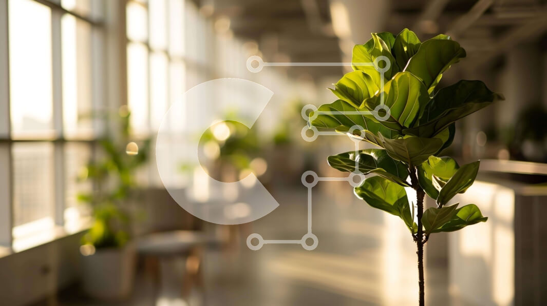 Intra Συλλεκτικό Ξύλινο Παζλ Plywood  4mm - Πράσινο φυτό εσωτερικού χώρου με καρέκλες και παράθυρα Σε Ξύλινο Κουτί - Διαστάσεις Puzzle: 10x10 cm – 25 κομμάτια