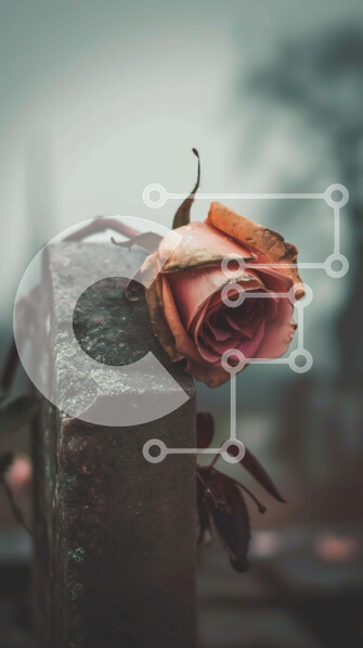 Σετ των 2 Intra Συλλεκτικό Ξύλινο Παζλ Plywood  4mm - Τριαντάφυλλο στην παλιά ταφόπλακα Σε Ξύλινο Κουτί - Διαστάσεις: 10x10 cm – 25 κομμάτια