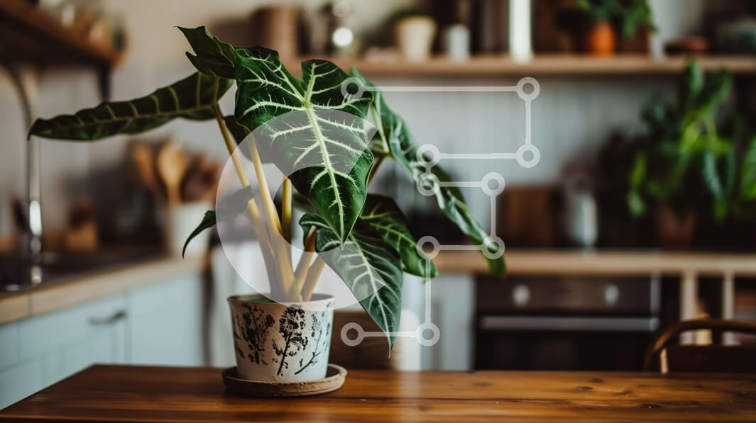 Intra Συλλεκτικό Ξύλινο Παζλ Plywood  4mm - Φυτό εσωτερικού χώρου σε γλάστρα σε ξύλινο τραπέζι στην κουζίνα Σε Ξύλινο Κουτί - Διαστάσεις Puzzle: 10x10 cm – 25 κομμάτια