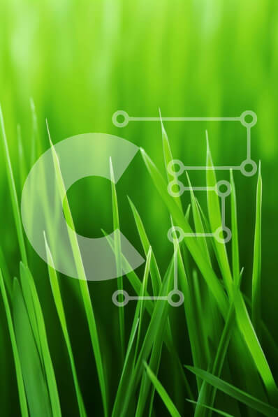 Σετ των 2 Intra Συλλεκτικό Ξύλινο Παζλ Plywood  4mm - Κοντινό πλάνο με πλούσια πράσινη χλόη Σε Ξύλινο Κουτί - Διαστάσεις: 10x10 cm – 25 κομμάτια