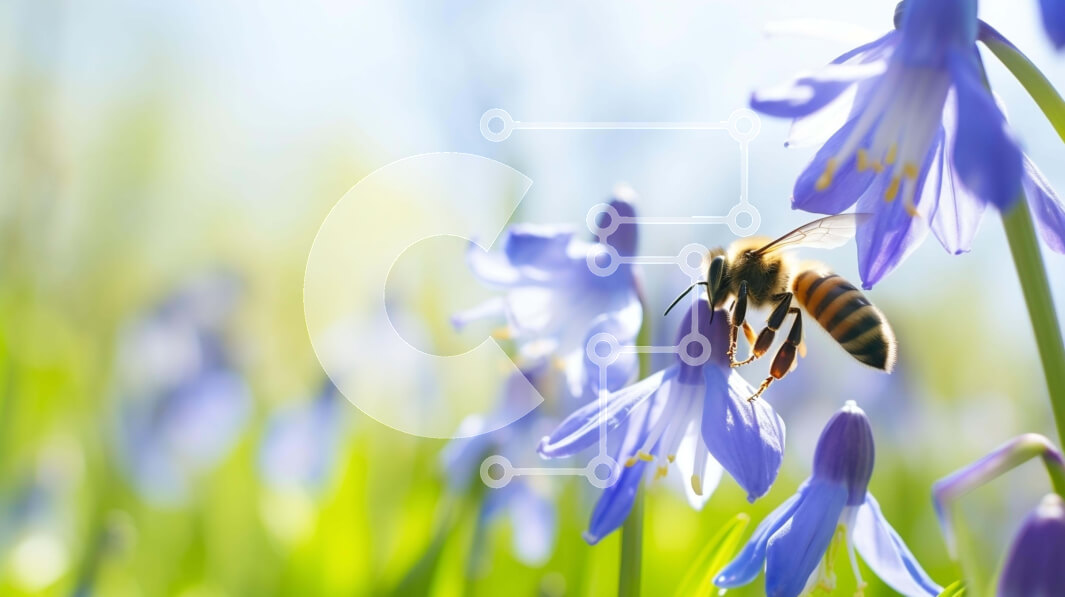 Intra Συλλεκτικό Ξύλινο Παζλ Plywood  4mm - Μέλισσα στα μπλε αγριολούλουδα Σε Ξύλινο Κουτί - Διαστάσεις: 10x10 cm – 25 κομμάτια