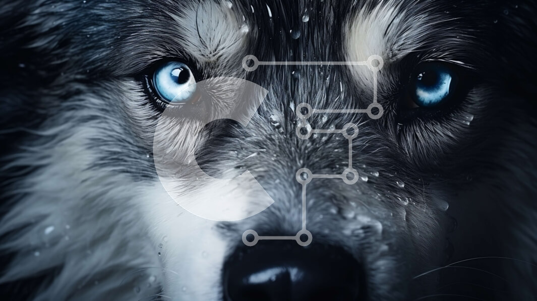 Intra Συλλεκτικό Ξύλινο Παζλ Plywood  4mm - Κοντινό πλάνο ενός λύκου με μπλε μάτια Σε Ξύλινο Κουτί - Διαστάσεις: 10x10 cm – 25 κομμάτια