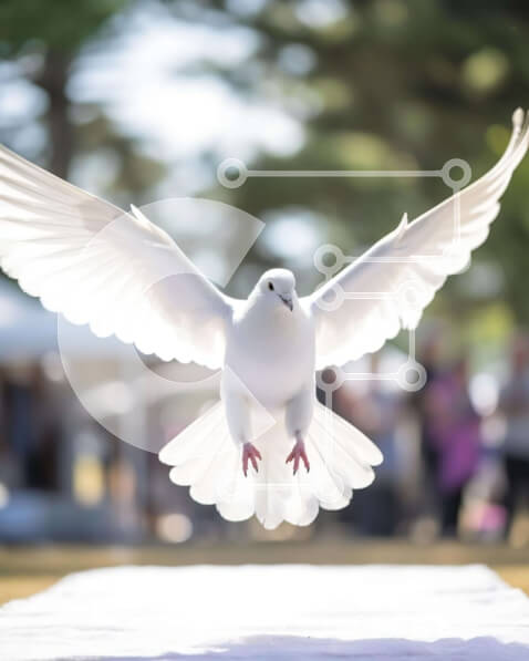 Intra Συλλεκτικό Ξύλινο Παζλ Plywood  4mm - Λευκό Περιστέρι σε πτήση Σε Ξύλινο Κουτί - Διαστάσεις: 10x10 cm – 25 κομμάτια