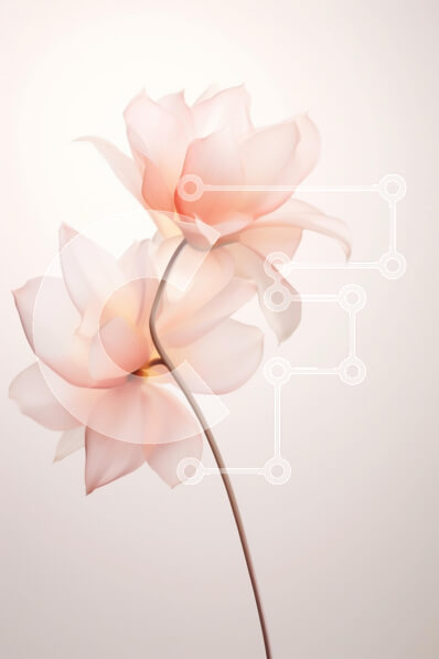 Σετ των 2 Intra Συλλεκτικό Ξύλινο Παζλ Plywood  4mm - Πλωτά ροζ λουλούδια σε λευκό φόντο Σε Ξύλινο Κουτί - Διαστάσεις: 10x10 cm – 25 κομμάτια