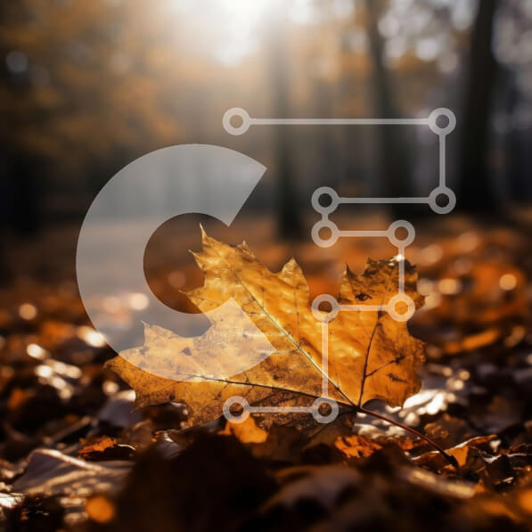 Intra Συλλεκτικό Ξύλινο Παζλ Plywood  4mm - Όμορφη εικόνα ενός κίτρινου φύλλου στο δάσος το φθινόπωρο Σε Ξύλινο Κουτί - Διαστάσεις: 10x10 cm – 25 κομμάτια