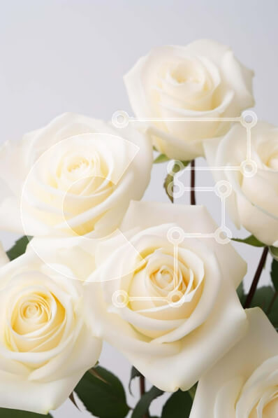 Intra Συλλεκτικό Ξύλινο Παζλ Plywood  4mm - Έξι λευκά τριαντάφυλλα σε ένα βάζο Σε Ξύλινο Κουτί - Διαστάσεις Puzzle: 10x10 cm – 25 κομμάτια