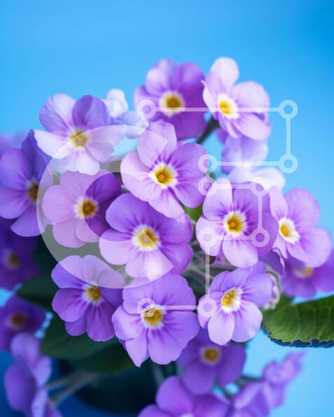 Intra Συλλεκτικό Ξύλινο Παζλ Plywood  4mm - Βάζο με μοβ και λευκά λουλούδια σε μπλε φόντο Σε Ξύλινο Κουτί - Διαστάσεις: 10x10 cm – 25 κομμάτια