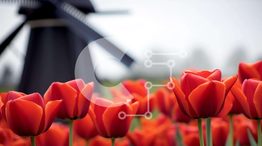 Intra Συλλεκτικό Ξύλινο Παζλ Plywood  4mm - Κόκκινες τουλίπες και ανεμόμυλος σε ένα χωράφι Σε Ξύλινο Κουτί - Διαστάσεις: 10x10 cm – 25 κομμάτια