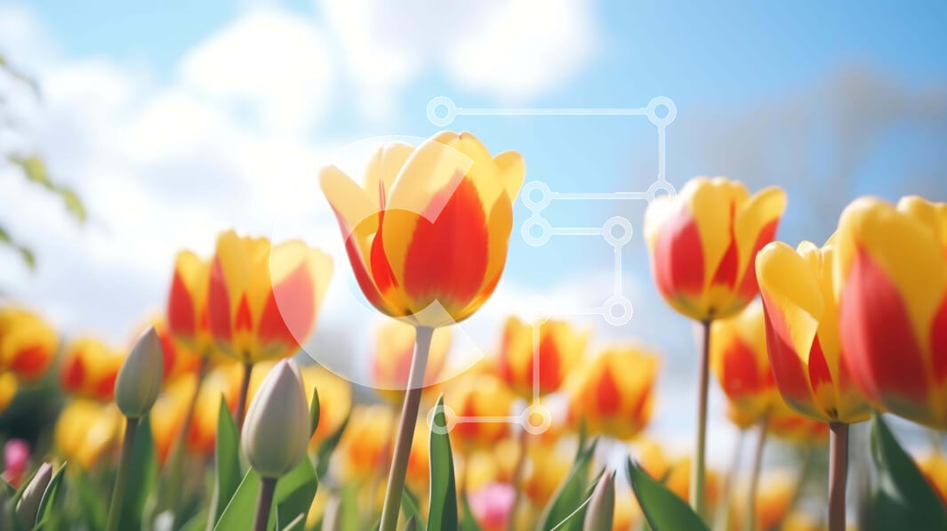 Intra Συλλεκτικό Ξύλινο Παζλ Plywood  4mm - Ζωντανό χωράφι τουλιπών σε πλήρη άνθιση με λαμπερό ήλιο Σε Ξύλινο Κουτί - Διαστάσεις: 10x10 cm – 25 κομμάτια